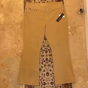 New DG2 Diane Gilman 2X comfort Stretch Bootcut